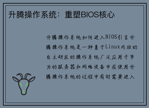 升腾操作系统：重塑BIOS核心